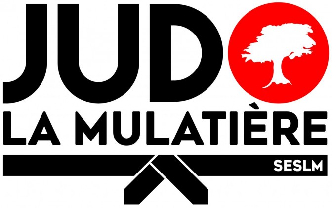 Image de l'actu 'EVOLUTION DU LOGO - La Mulatière Judo'