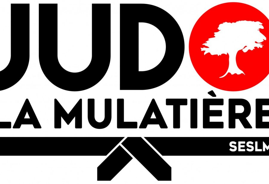 EVOLUTION DU LOGO - La Mulatière Judo